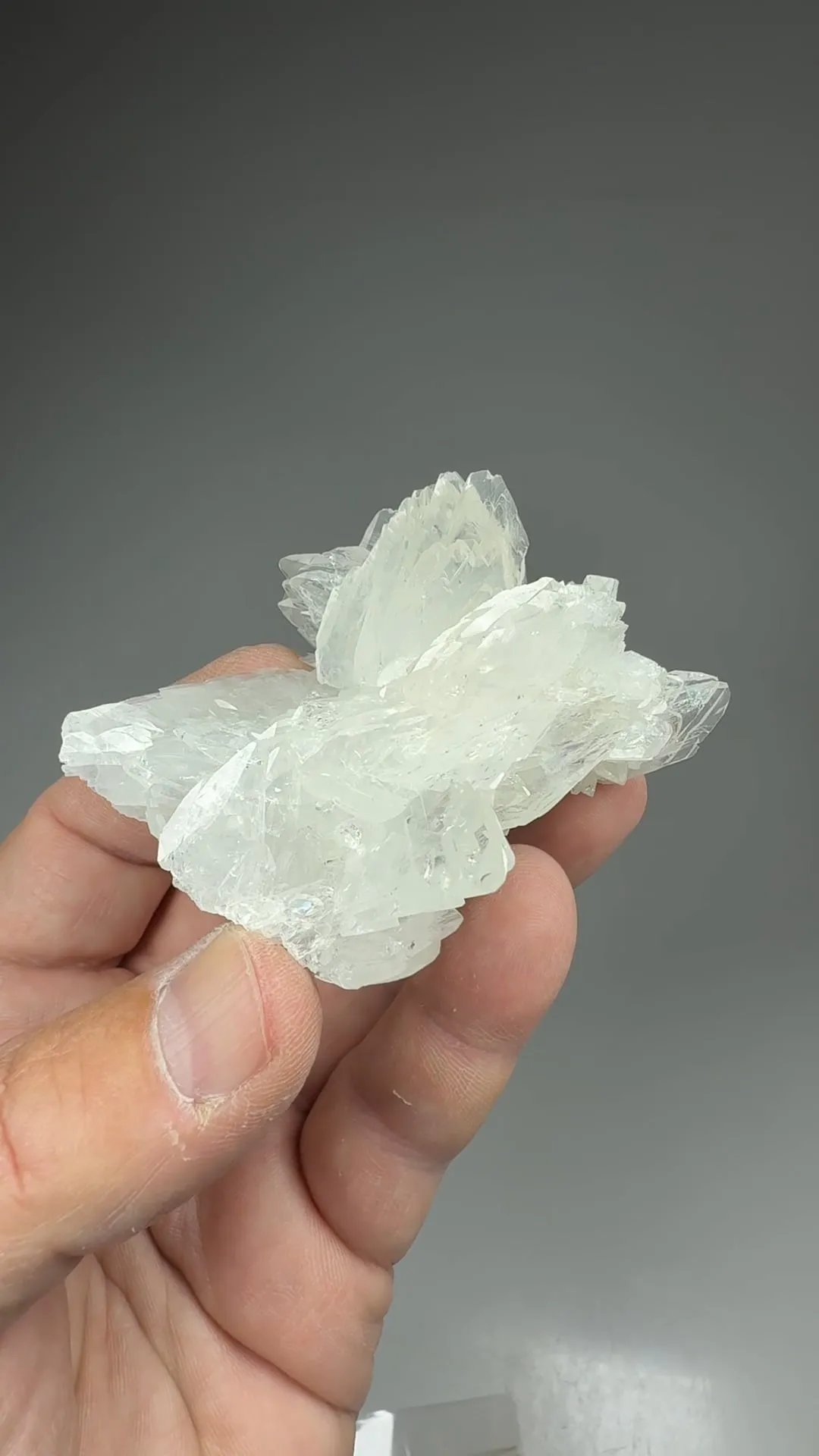 Colemanite - image 2