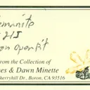 Colemanite - image 6