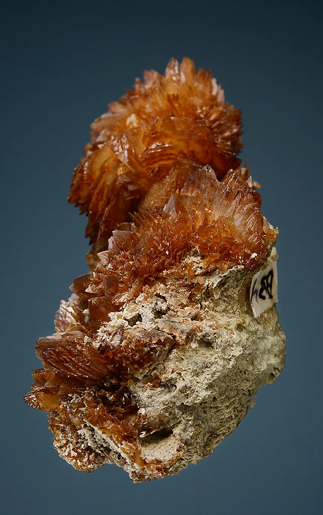 Colemanite image