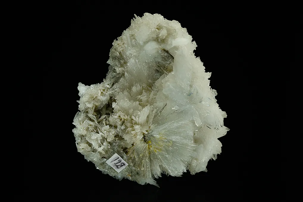 Colemanite on Hydroboracite - image 2