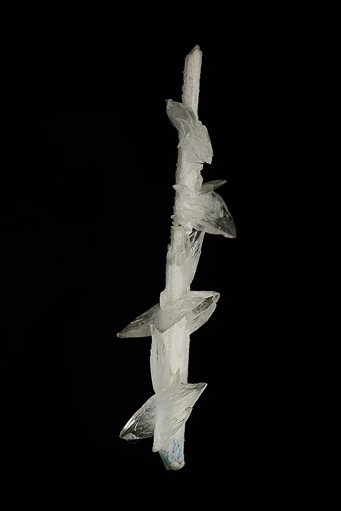 Colemanite on Ulexite (repaired) - image 3
