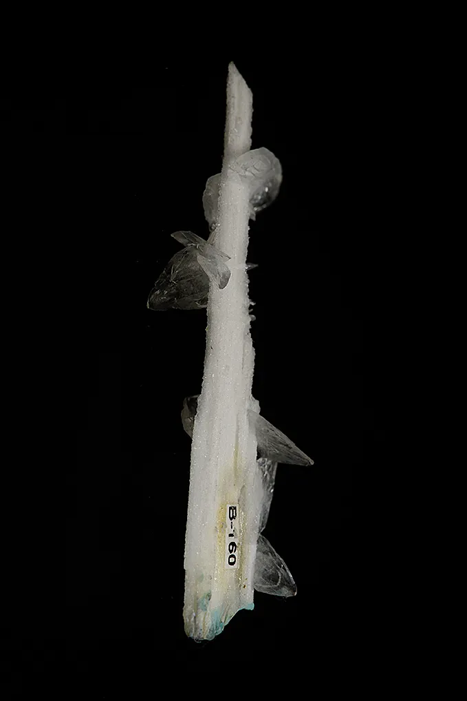 Colemanite on Ulexite (repaired) - image 4