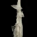 Colemanite on Ulexite (repaired) - image 1