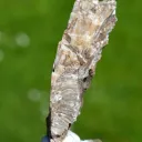 Colemanite & realgar 68 grams - Hisarcik Mine, Emet Borate deposit, Kütahya, Türkiye - image 4