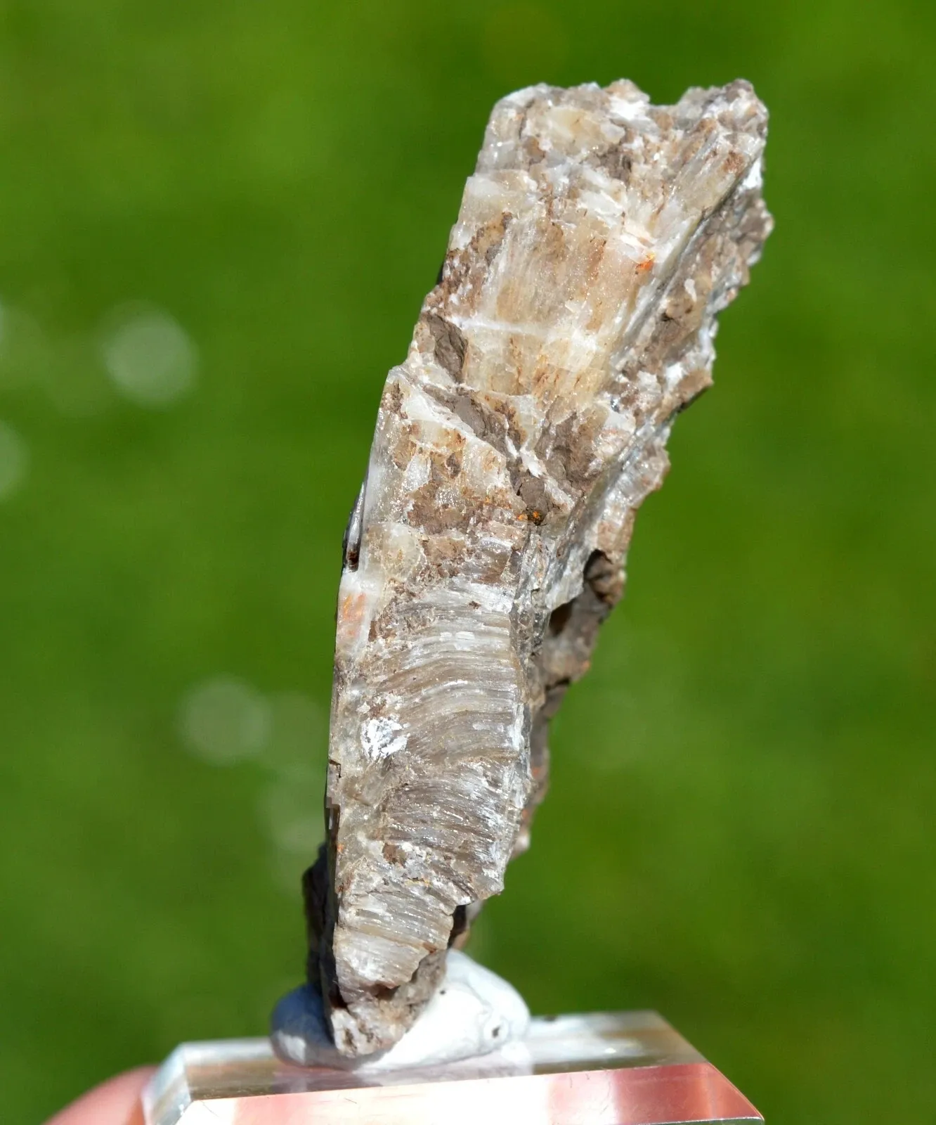 Colemanite & realgar 68 grams - Hisarcik Mine, Emet Borate deposit, Kütahya, Türkiye - image 4