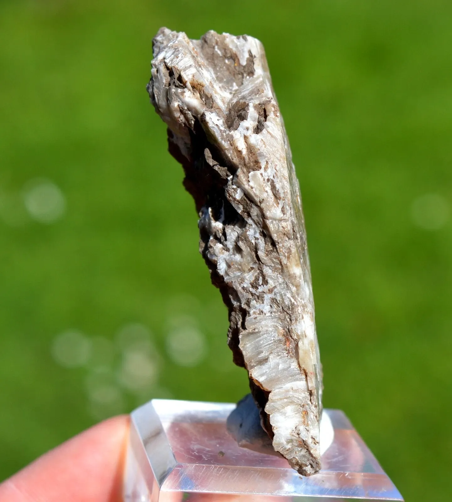 Colemanite & realgar 68 grams - Hisarcik Mine, Emet Borate deposit, Kütahya, Türkiye - image 2