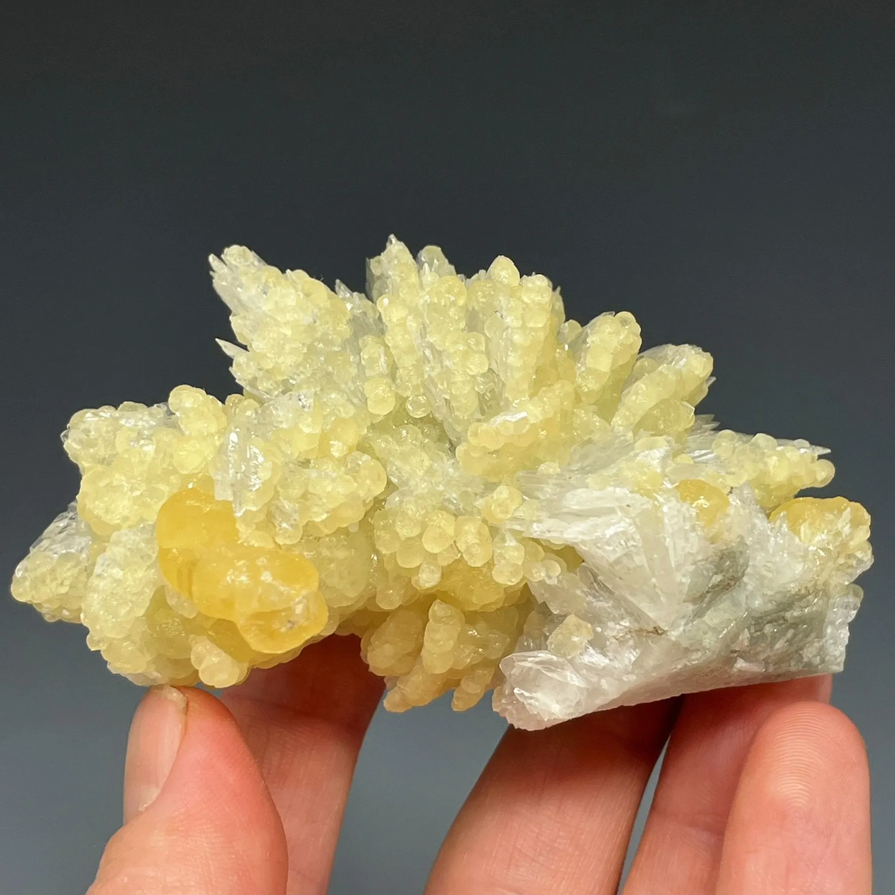 Colemanite with Calcite - image 3