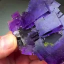 Collection  worthy…Fluorite WITH Chalcopyrite, Calcite - image 3