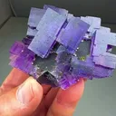 Collection  worthy…Fluorite WITH Chalcopyrite, Calcite - image 1