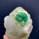 specimen video