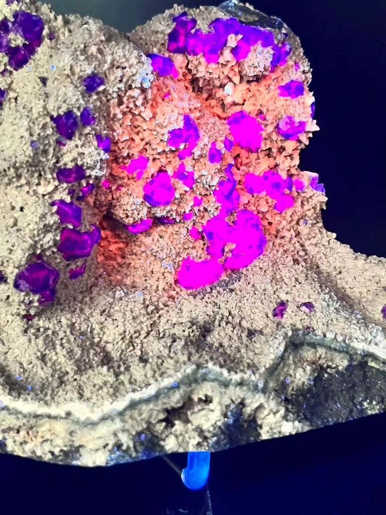 Collector‑Grade Tanzanite‑Blue Fluorite, Intense Magenta Fluorescent, Exhausted Deposit, Yongchun Fujian, China - image 6