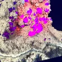 Collector‑Grade Tanzanite‑Blue Fluorite, Intense Magenta Fluorescent, Exhausted Deposit, Yongchun Fujian, China - image 6