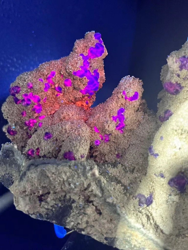 Collector‑Grade Tanzanite‑Blue Fluorite, Intense Magenta Fluorescent, Exhausted Deposit, Yongchun Fujian, China - image 8