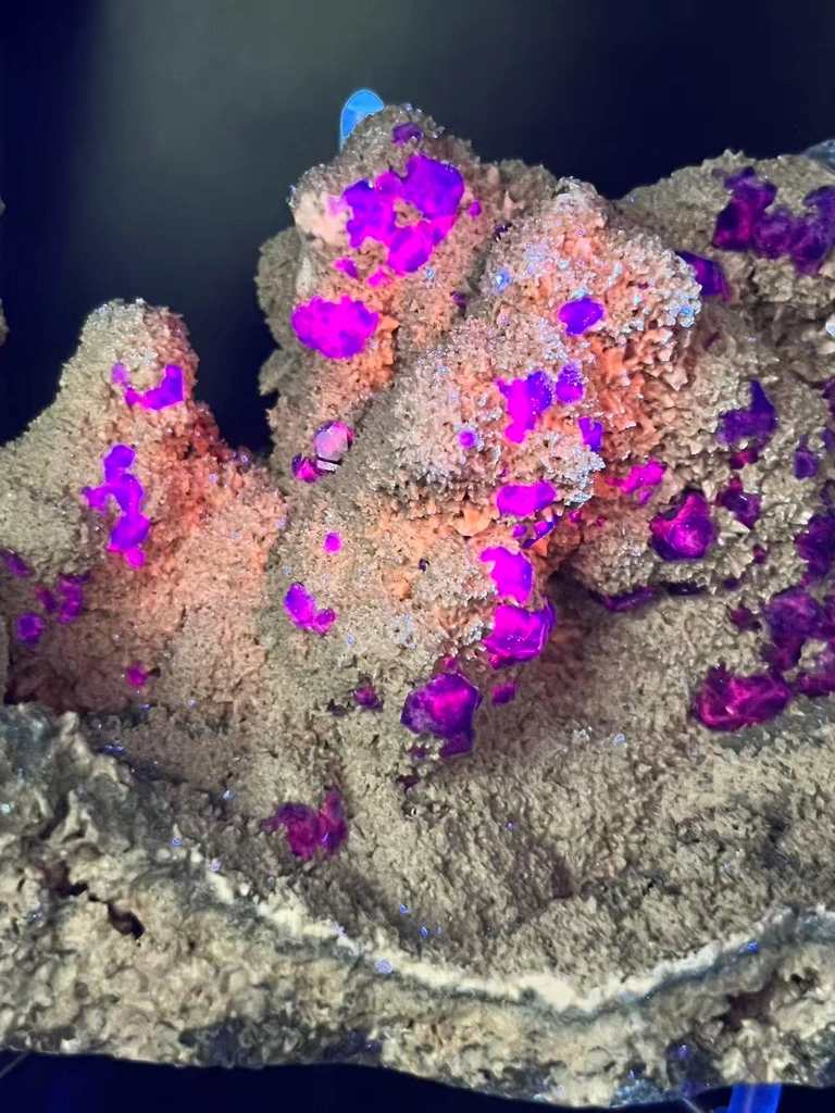 Collector‑Grade Tanzanite‑Blue Fluorite, Intense Magenta Fluorescent, Exhausted Deposit, Yongchun Fujian, China image