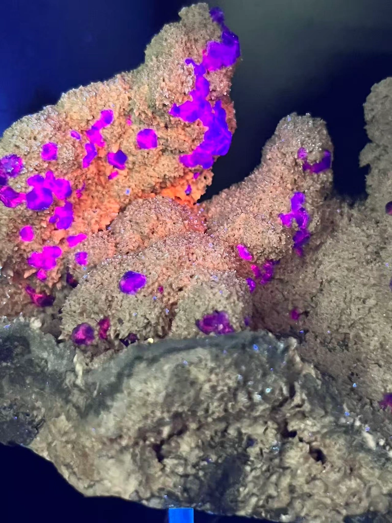 Collector‑Grade Tanzanite‑Blue Fluorite, Intense Magenta Fluorescent, Exhausted Deposit, Yongchun Fujian, China - image 7