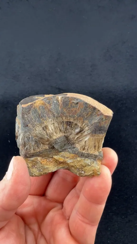 Collinsite - image 2