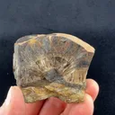 Collinsite - image 2
