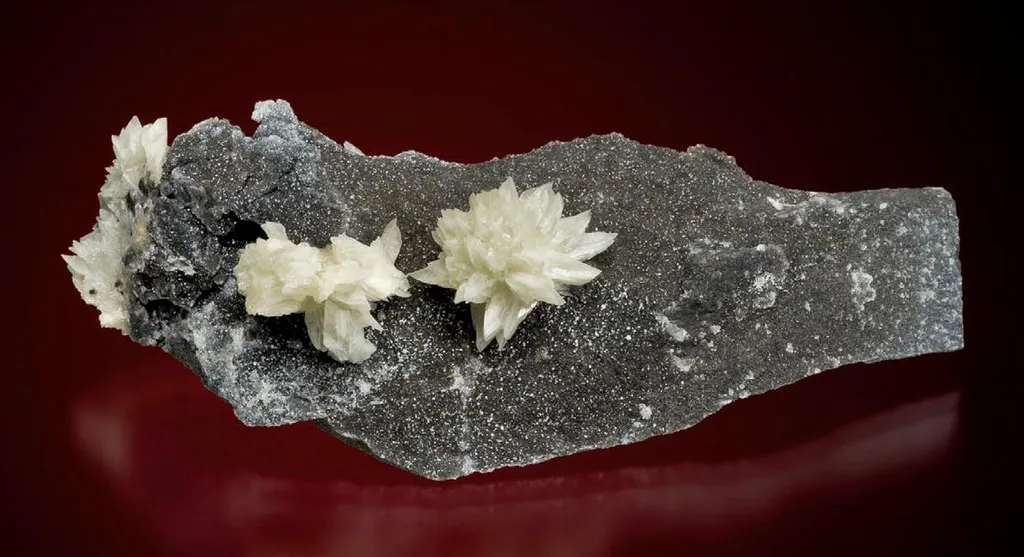 Collinsite image