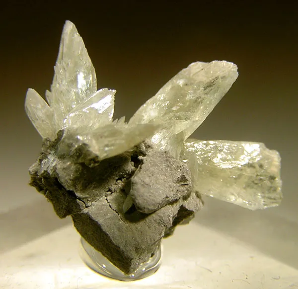 Collinsite image