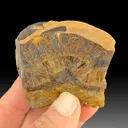 Collinsite - image 1