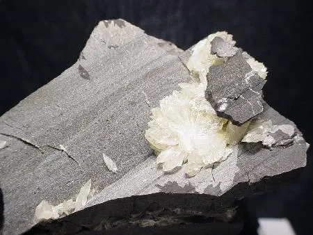Collinsite image