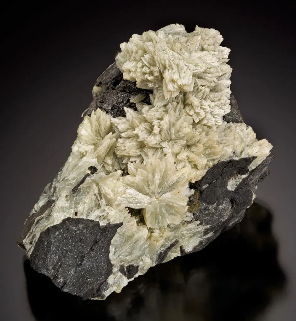 Collinsite image