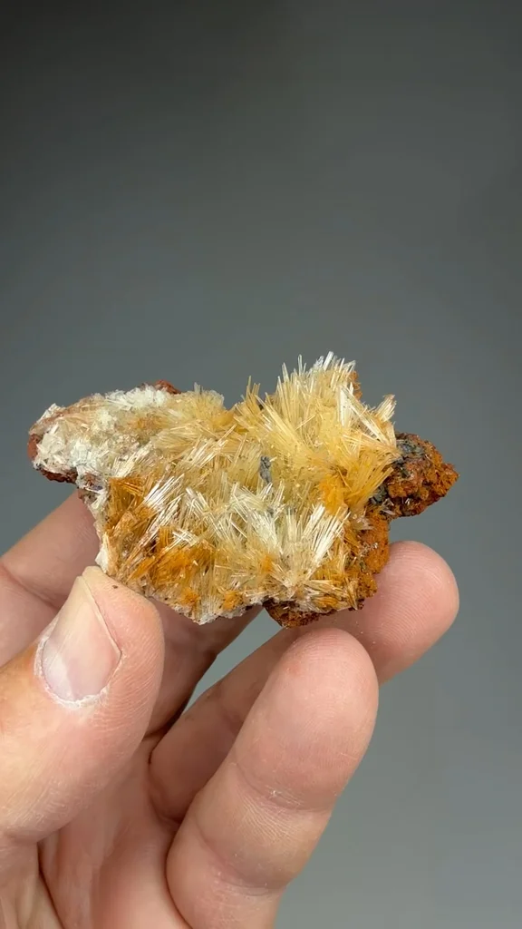 Collinsite from Flinders Ranges, South Australia, Australia - image 2