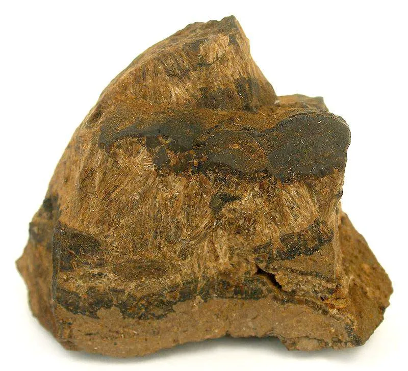 Collinsite With Asphaltum - image 2