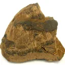 Collinsite With Asphaltum - image 2