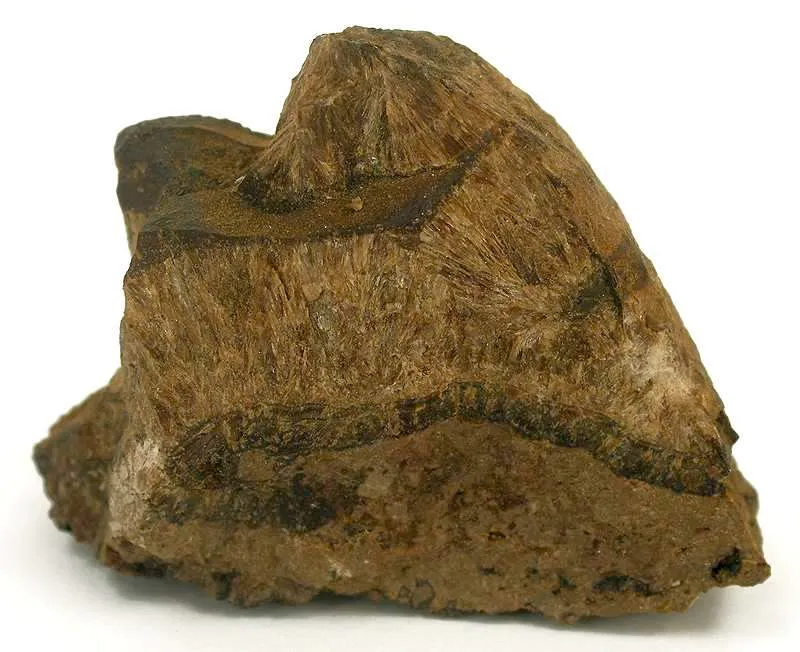 Collinsite With Asphaltum image