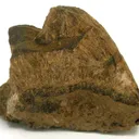 Collinsite With Asphaltum - image 1