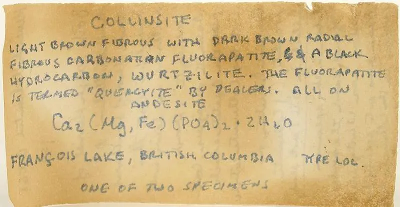 Collinsite With Asphaltum - image 3