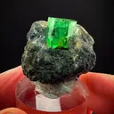 Colombian Emerald perfection - image 1