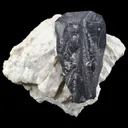 Columbite - image 3