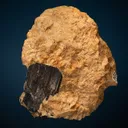 Columbite-(Fe) - image 1