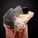 Columbite-(Fe) with Smoky Quartz and Albite on Microcline - image 1