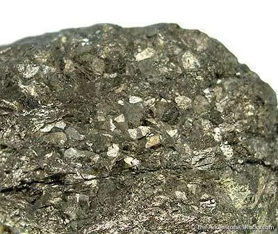Colusite on Pyrite - image 2