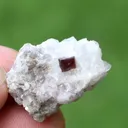 Combo of Rare Microlite with Lepidolite on Matrix From Afghanistan - image 2