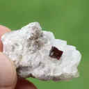 Combo of Rare Microlite with Lepidolite on Matrix From Afghanistan - image 1