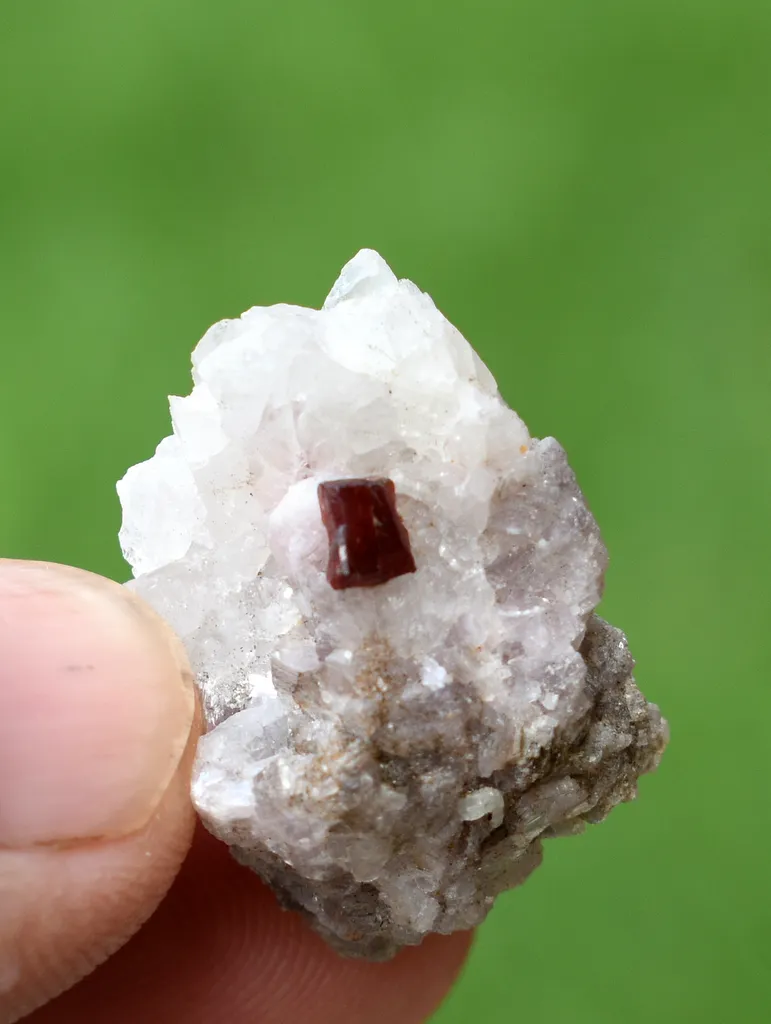 Combo of Rare Microlite with Lepidolite on Matrix From Afghanistan - image 9