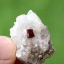 Combo of Rare Microlite with Lepidolite on Matrix From Afghanistan - image 9