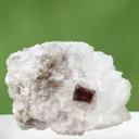Combo of Rare Microlite with Lepidolite on Matrix From Afghanistan - image 7