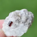 Combo of Rare Microlite with Lepidolite on Matrix From Afghanistan - image 4