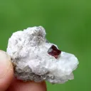 Combo of Rare Microlite with Lepidolite on Matrix From Afghanistan - image 3
