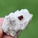 Combo of Rare Microlite with Lepidolite on Matrix From Afghanistan - image 6