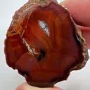 Condor Agate - Andes Mountains - 10066 - image 1