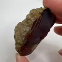 Condor Agate - Andes Mountains - 10067 - image 2