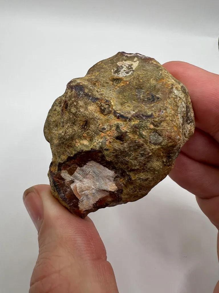 Condor Agate - Andes Mountains - 10069 - image 3