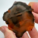 Condor Agate - Andes Mountains - 10071 - image 3