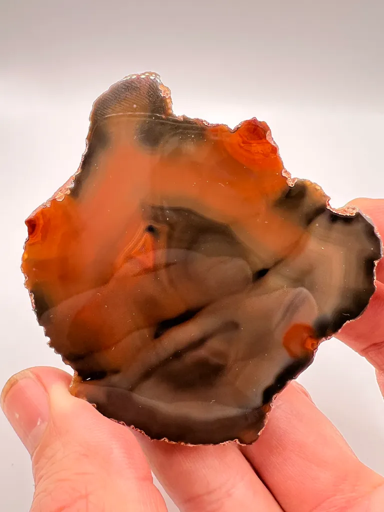 Condor Agate - Andes Mountains - 10071 image